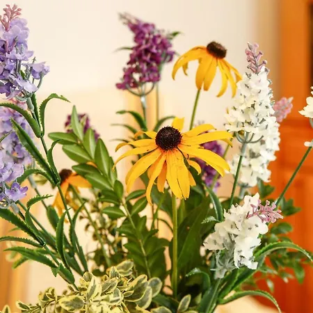 Appartement Ferienwohnung Holiday 2 Friedrichshafen